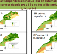 spécimen produit